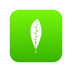 Leaf icon digital green