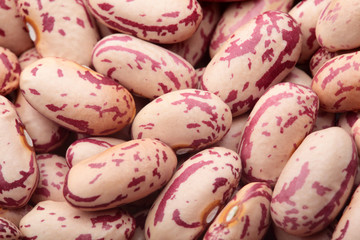 Fototapeta na wymiar Texture of pinto beans.Background of pinto beans.Cocnept textures of legumes.