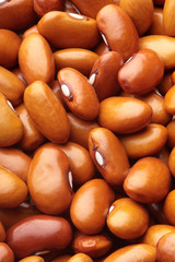 Texture of brown kidney bean.Background of brown kidney bean.Cocnept textures of legumes.Full depth of field