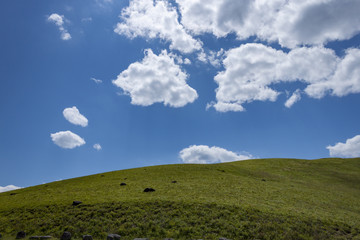 快晴のビーナスライン