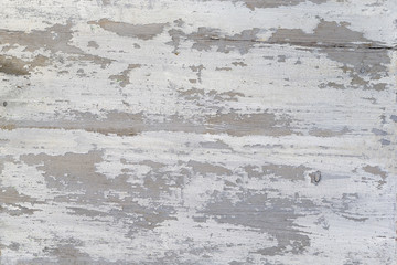 A Weathered wood texture with peeling white paint. Abstract grunge background.