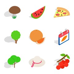 Vegetarian pastries icons set, isometric style