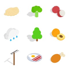 Fruit meal icons set, isometric style