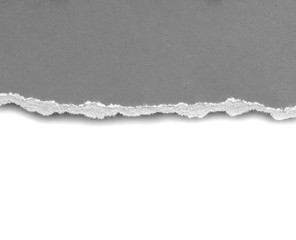 pieces of torn paper texture background, copy space.