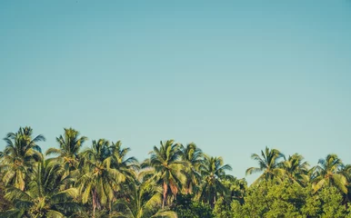 Photo sur Plexiglas Palmier palm trees and blue sky background - retro style