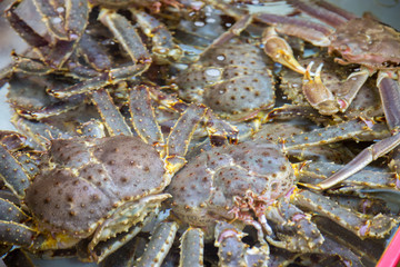 釜山の風景　チャガルチ市場	タラバガニ