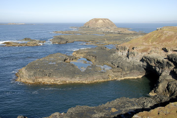  Phillip Island, Victoria, Australia.The nobbies at point Grant with seal rocks in background.