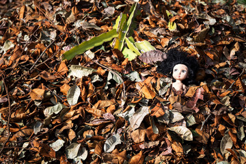 Old toy doll in the devastation