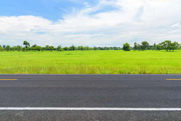 asphalt road and green rice field