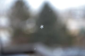 Snowflake on a window