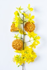 Mooncake and apricot blossom, food for Chinese mid autumn festival. Isolated on white background