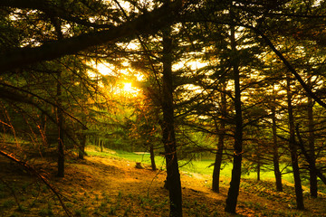 labor park - dalian - china