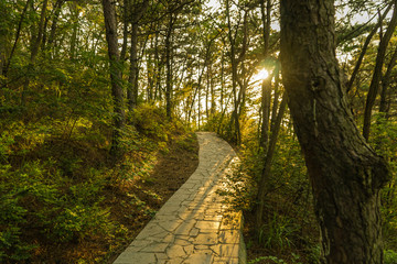 labor park - dalian - china