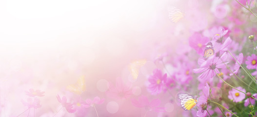 Obraz na płótnie Canvas Violet color floral abstract background.