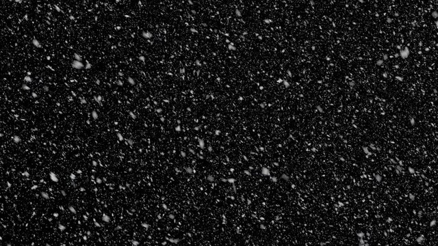 Animation of snow falling. Production quality Footage in ProRes 4444 codec with alpha channel, 25 FPS.