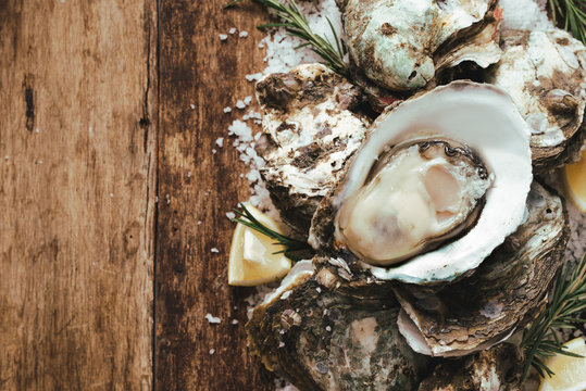 A photo of freshly opened oysters on a wooden background texture with copyspace