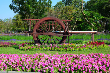 Ancient Thai carts on grass glower tree background in public park Suan Luang R9 bangkok Thailand