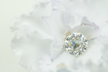 Diamond on a Flower