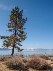 Fototapeta na wymiar Landscape of Lake Tahoe
