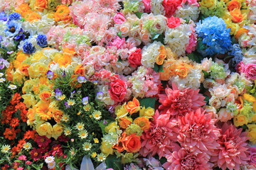 Colourful flower bed background