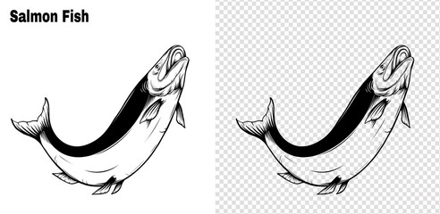 Salmon art highly detailed in line art style.Fish vector by hand drawing.Fish tattoo on white background.Black and white fish vector on white background.Salmon fish sketch for coloring book.