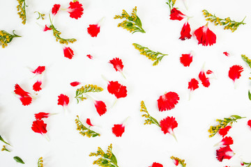 floral pattern of red petals, leaves on a white background