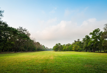 Green grass field with tree in Public Park
