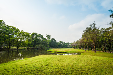 Obraz premium Green grass field with lake in Public Park