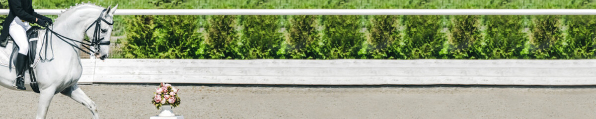 Dressage horse and rider in uniform during dressage competition. Horizontal photo banner for equestrian website header design. Copy space for your text. 