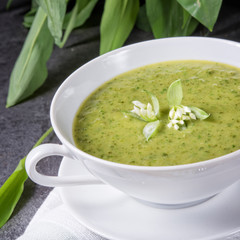 green wild garlic soup
