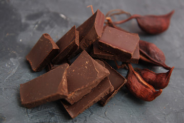 Chocolates Pieces Isolated on Gray Background. Chocolate. Fine Pieces of Chocolates. Chocolate Sweets. Horizontal image.