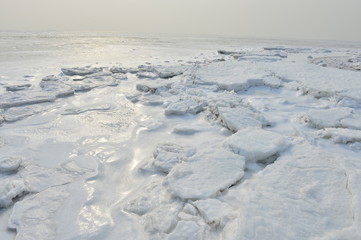 On winter sea ice