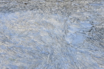 On winter sea ice