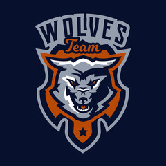 Fototapeta premium Colorful emblem, logo, snarling wolf. An aggressive predator, an animal from the forest, a coyote, a dangerous beast, a head, a mascot. Sport Identity, T-shirt printing, vector illustration