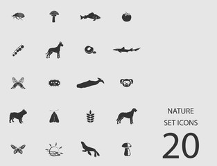 Nature set of flat icons. Vector illustration