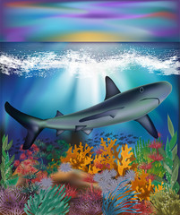 Underwater background with Shark, vector illustration