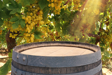 Image of old oak wine barrel in front of wine yard landscape. Useful for product display montage.