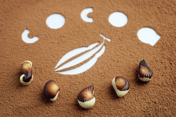 Cocoa powder. Text on the background and candy.