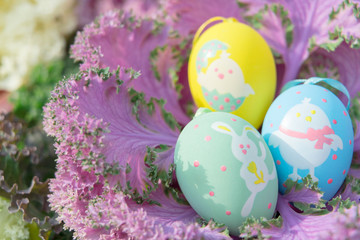 colorful easter eggs standing on the purple cabbage, ready for the egg hunter traditional