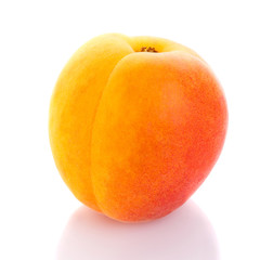 One peach on white background.