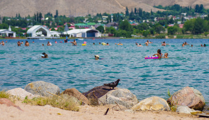People swimming and relaxing during summer holiday near Cholpon-Ata, Kyrgyzstan 30.07.2017