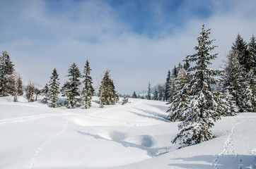 Verschneite Winterlandschaft