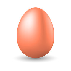 Realistic brown egg