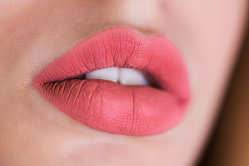 Closeup of puffy sexy lips. Pink lipstick, lip gloss, cosmetics.
