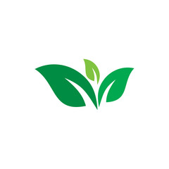 Nature Logo Icon Design