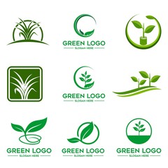 Fototapeta premium Tree logo set,People logo set,green eco logo,Vector logo template