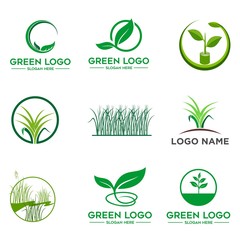 Tree logo set,People logo set,green eco logo,Vector logo template