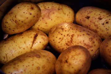 Kartoffel in topf