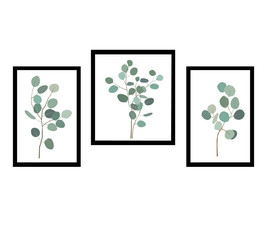 Pictures or posters with elegant eucalytus branches. Design element for your virtual room. Interior wall background