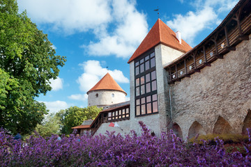 View to old Tallinn in middle summer. Wall with towers at Toompea